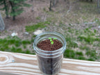 Plant, Pray, Grow Kit