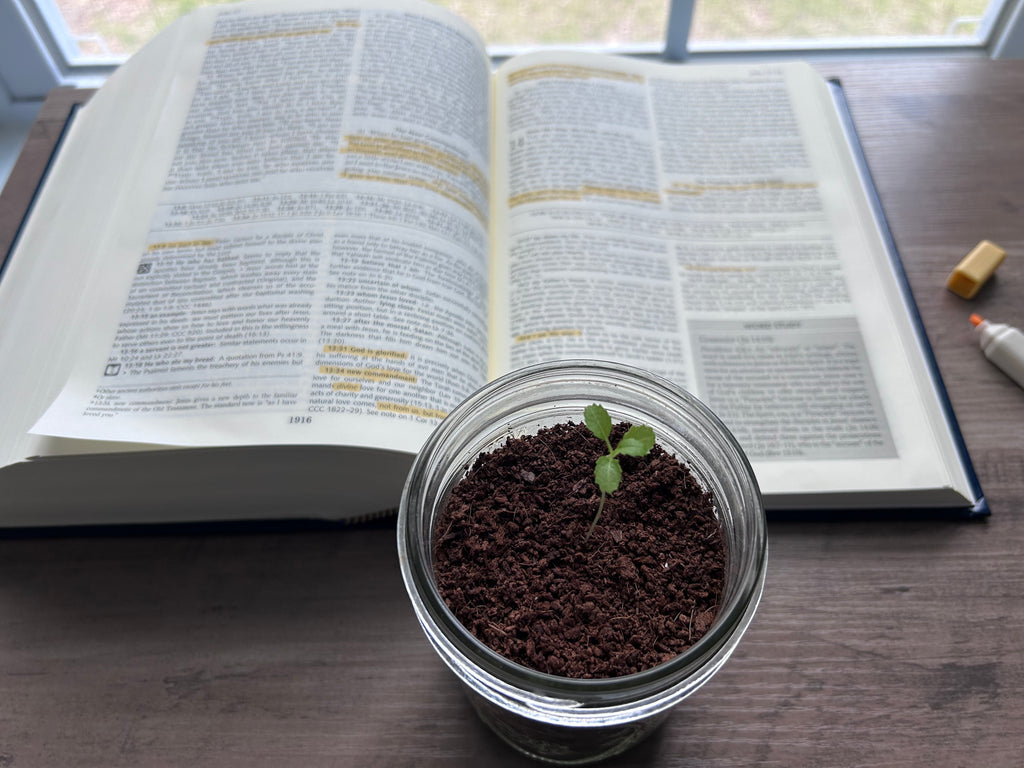 Plant, Pray, Grow Kit