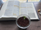 Plant, Pray, Grow Kit