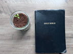 Plant, Pray, Grow Kit