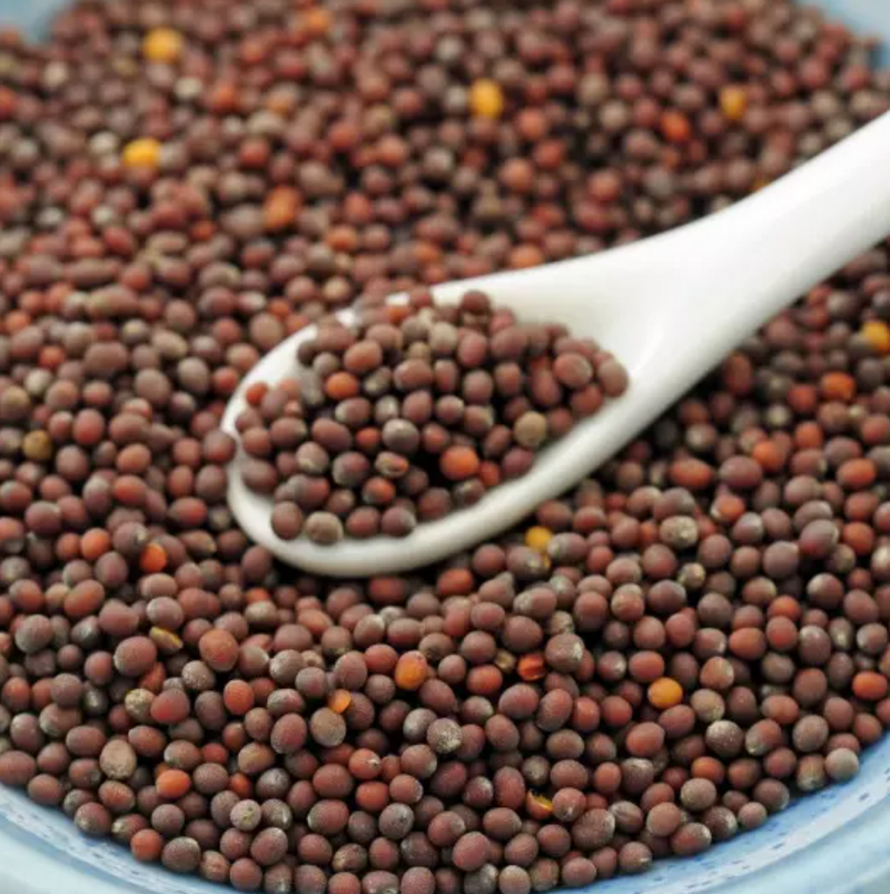 Seeds